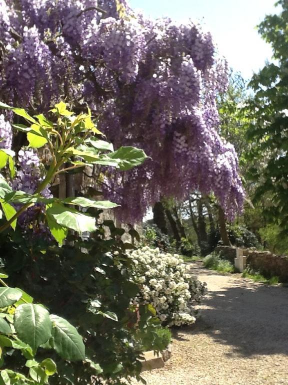 La Ferme De Kerraoul Bed & Breakfast Combrit ภายนอก รูปภาพ