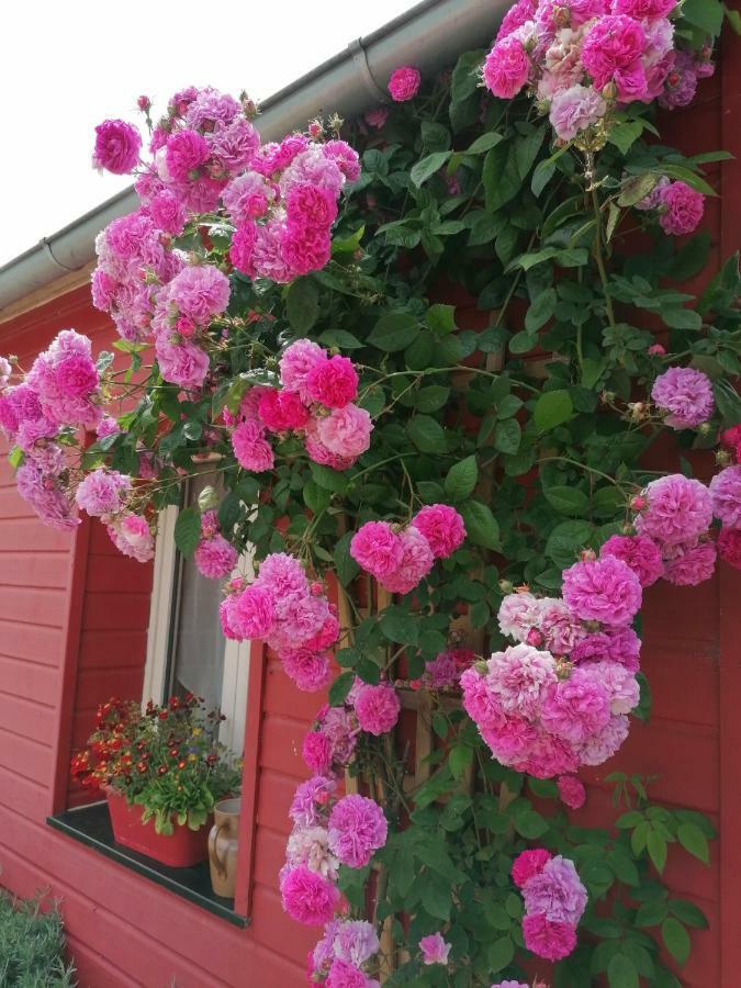 La Ferme De Kerraoul Bed & Breakfast Combrit ภายนอก รูปภาพ